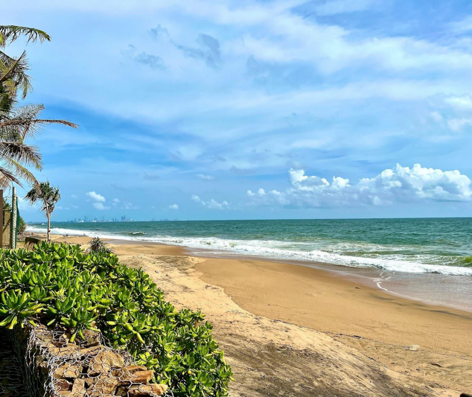 Screenshot 2025-08-24 at 23-04-38 AF1QipPJFLyfPO6qoBpTE77TV_8xicEVNI67Oc0s3ZJ8 s1600-k-no.jpeg (JPEG Image 1600 × 1200 pixels) — Scaled (78%)