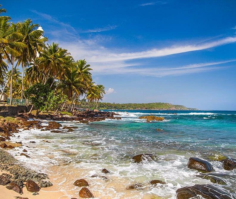 surfdiscovery-sri-lanka